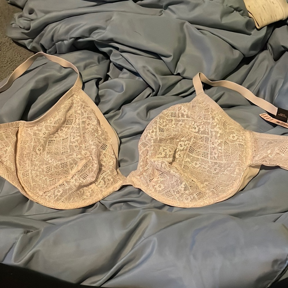 Sheer Laced non padded bra